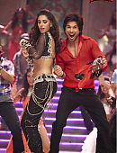 shahidkapoor-374166012003774464-20130901_191503-img1.jpg