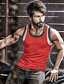 SHAHID_KAPOOR_1f9ffc7b-5d0c-459f-956a-3c4916e100cd_900x.jpg
