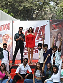 Shahid-Kapoor-Pooja-Hegde-And-Others-Present-At-Trailer-Launch-Of-Deva-Gallery-8.jpeg